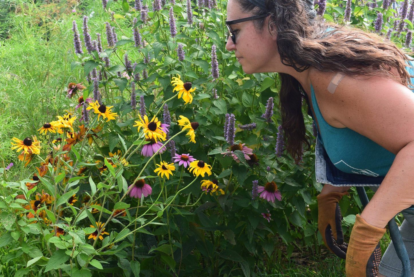 Woman smelling flowers in summer garden, Apothecuryous