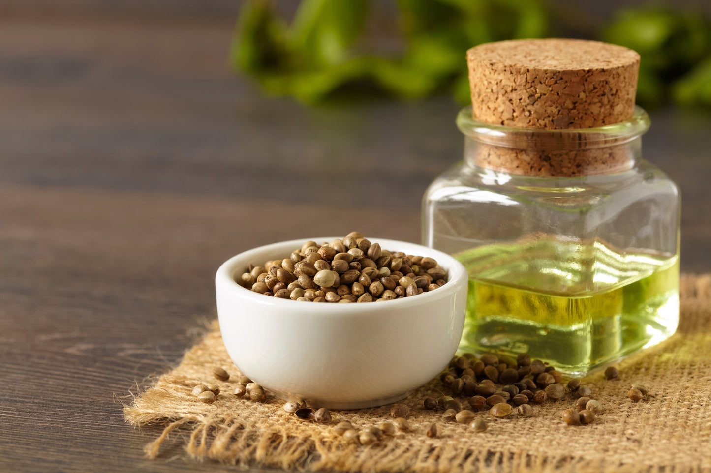 Hemp seeds and oil, Apothecuryous