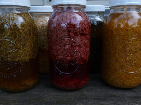 Herbal Infused Apple Cider Vinegar
