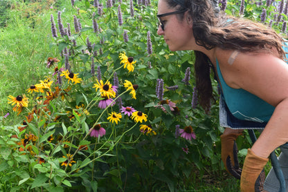 Woman smelling flowers in summer garden, Apothecuryous